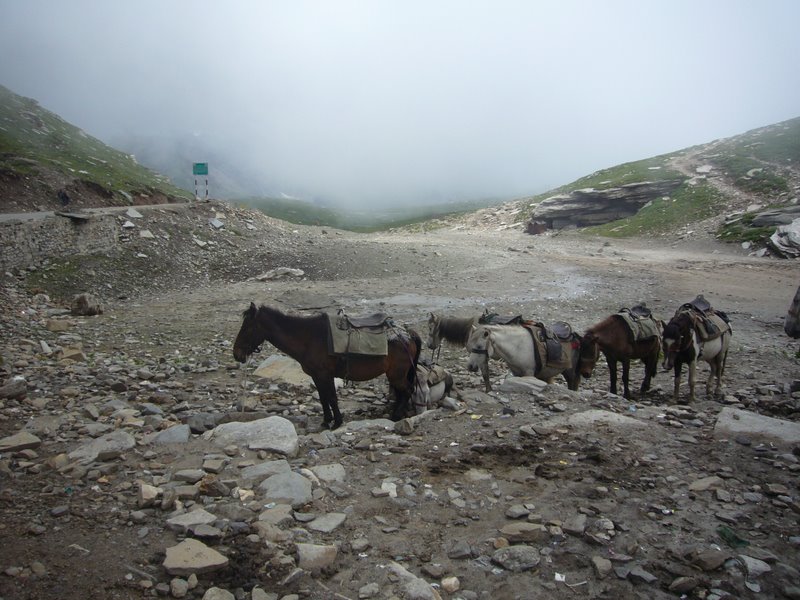 Rotang pass - clouds and pony rides